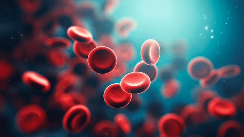 anticoagulantes anticoagulantes